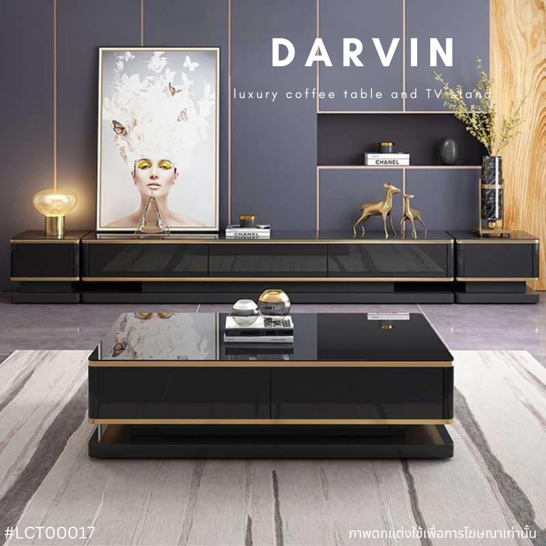 DARVIN Luxury Coffee Table and TV Stand LINE SHOPPING