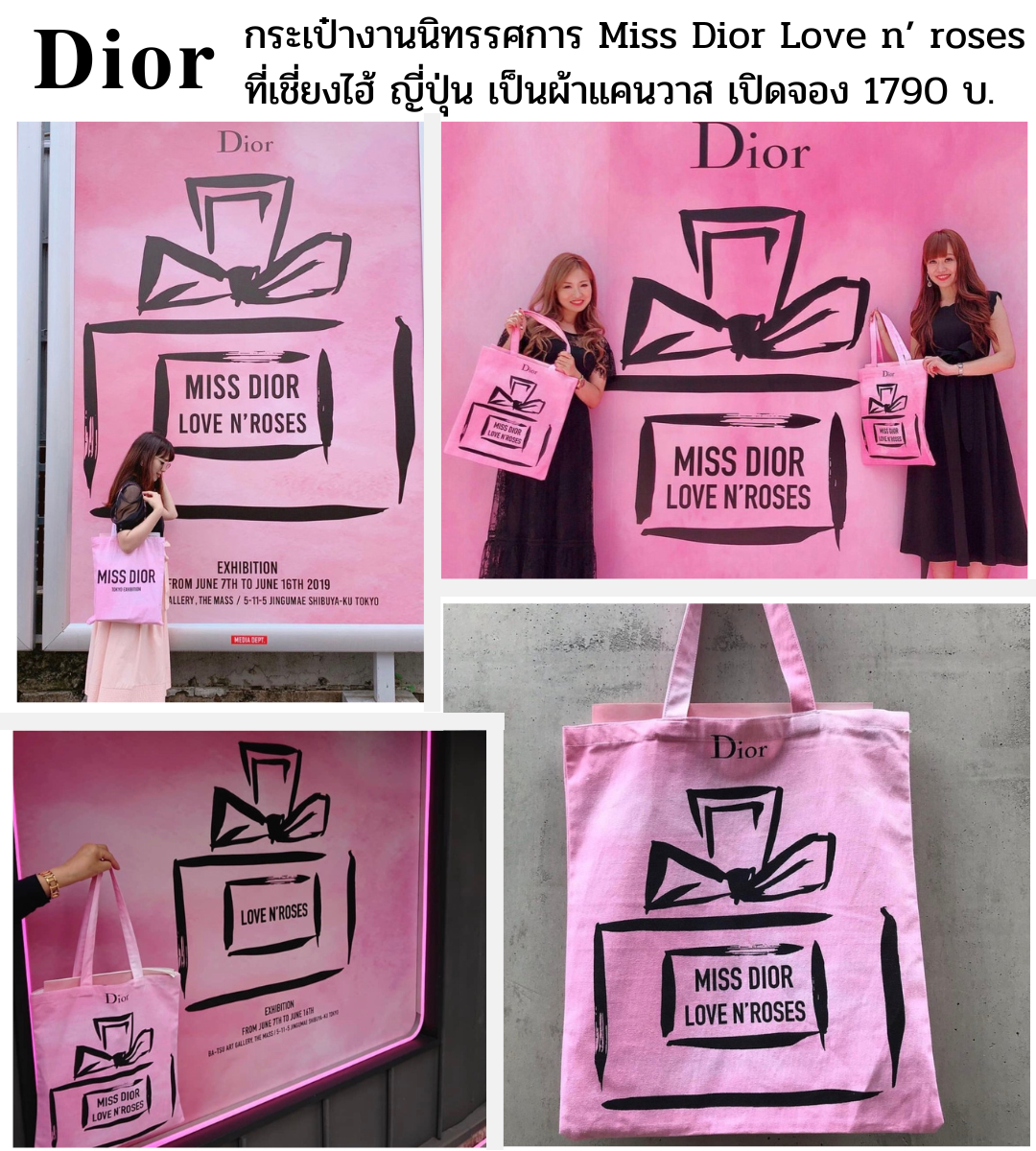 Christian dior love bag 2025