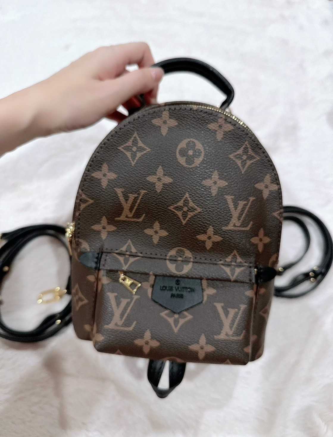 Louis Vuitton Palm Springs Mini (Monogram) กระเป๋าเป้