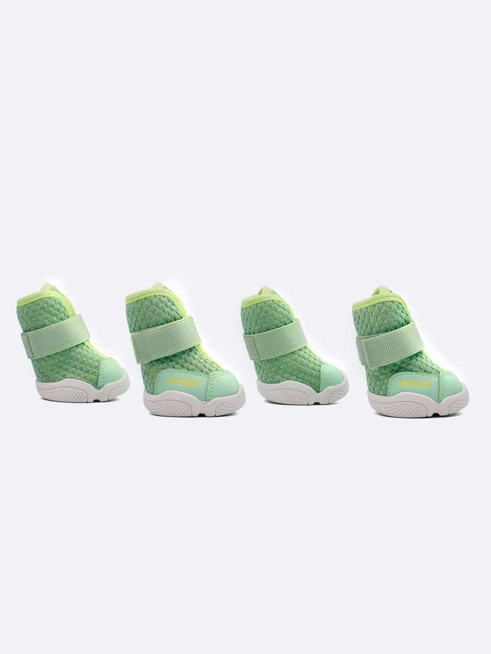 Caesar 1S Guava LINE SHOPPING