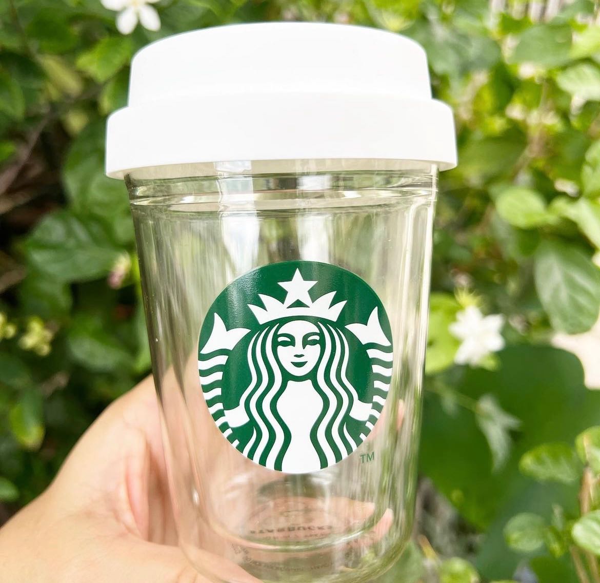 Glass Cup : r/starbucks