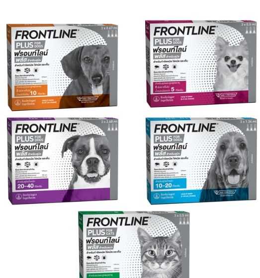 Frontline Plus (ฟรอนท์ไลน์ พลัส) ยาหยอดกำจัดเห็บ หมัด สุนัข และ แมว ...