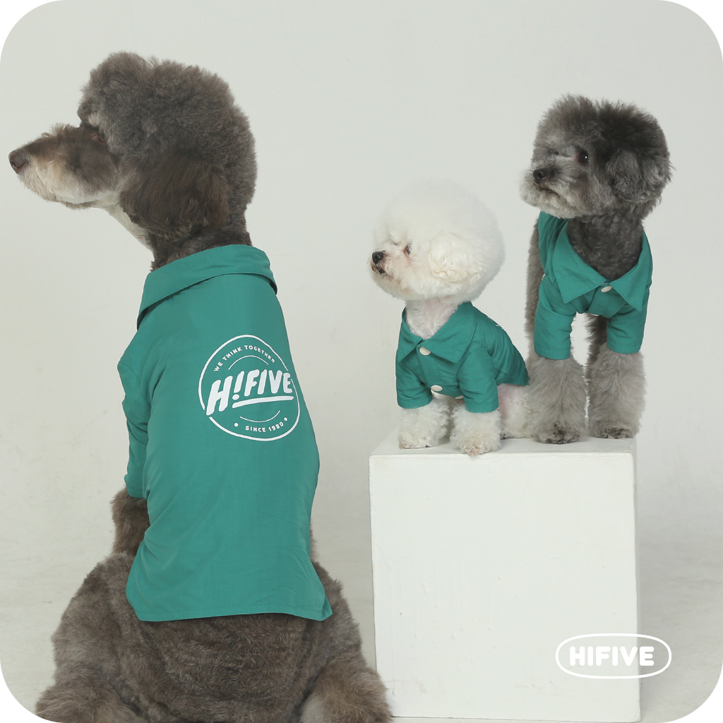 HIFIVE Oh My Coach Jacket Green LINE SHOPPING