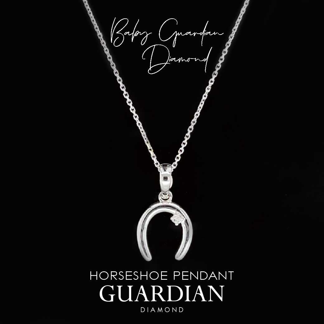 (สุขภาพ ความแข็งแรง ความปลอดภัย) ปกป้องคุ้มครองดูแล Horseshoe Necklace