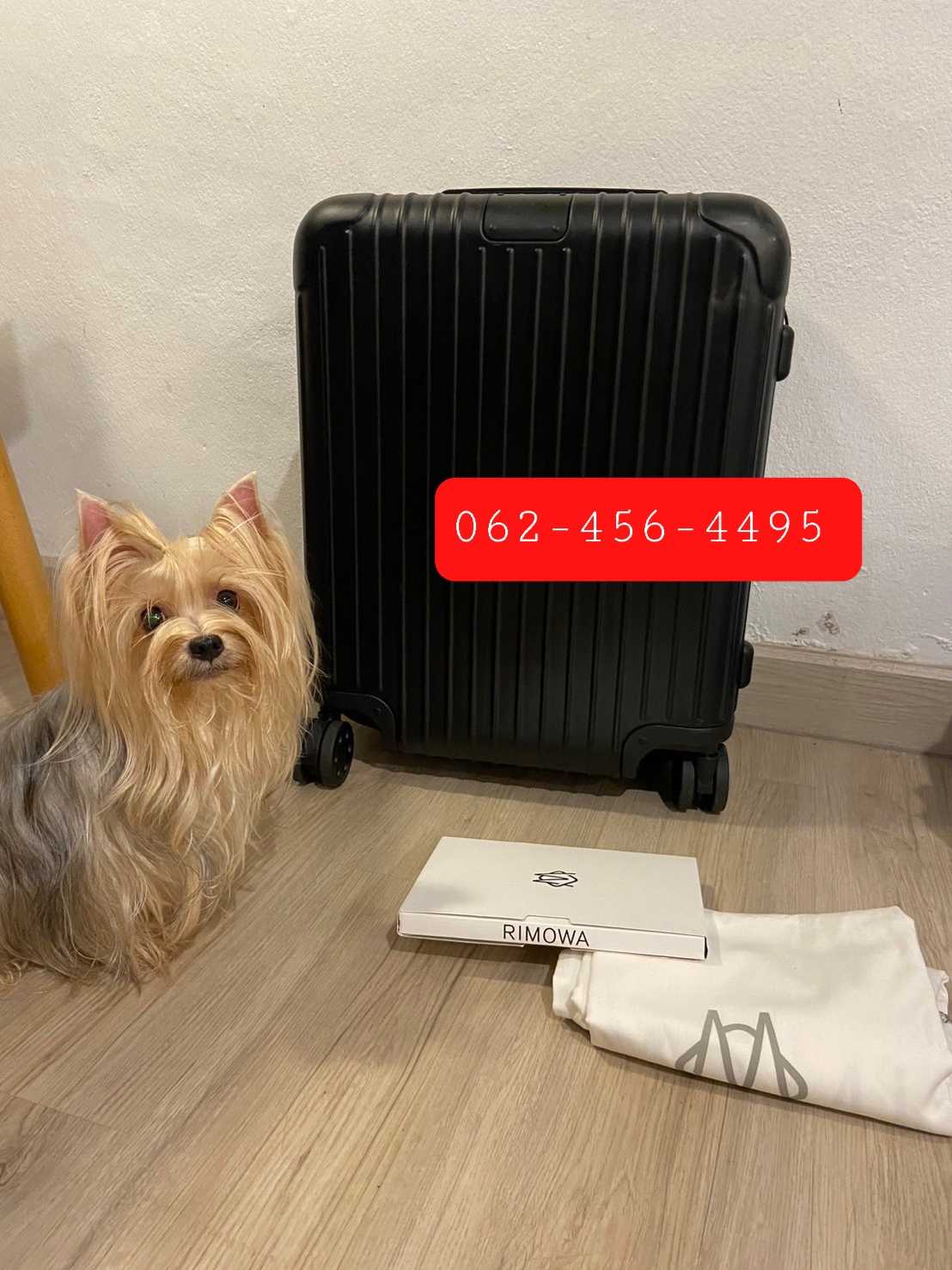 USED Rimowa Essential Cabin Plus LINE SHOPPING
