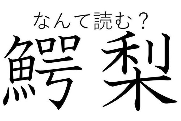 知っていると自慢できる 難読漢字クイズ 鰐梨 はなんて読む