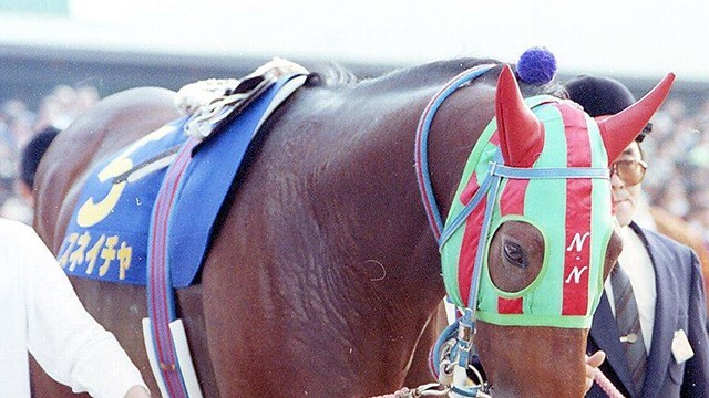 35歳ナイスネイチャ死す 存命のJRA重賞勝ち馬では最高齢(netkeiba.com)