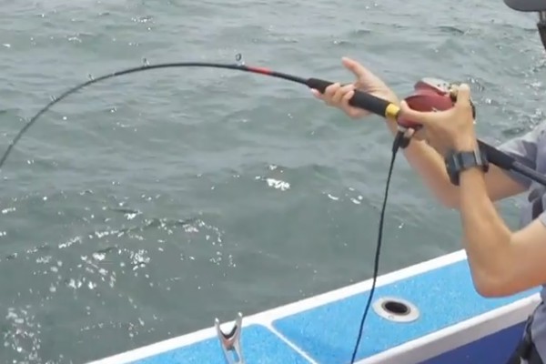 落とし込み釣り特集 どんなロッドやリールを使えばいいの おすすめタックルをチェック Fishing Japan