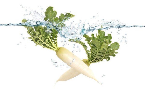 同じモノ 違うモノ かいわれ大根を育てると大根になるって本当 オリーブオイルをひとまわしニュース