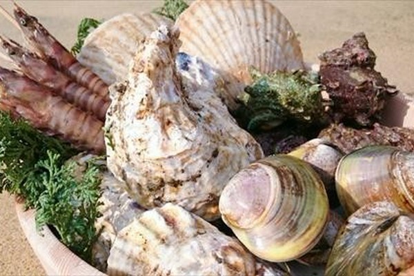あさりやハマグリだけじゃない！日本で食べられる『貝』の種類はこんなに多かった！（オリーブオイルをひとまわしニュース）