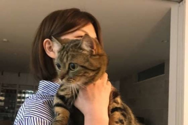 焦らずに試して 愛猫を 抱っこ好き にさせちゃう3ステップ ねこのきもちnews