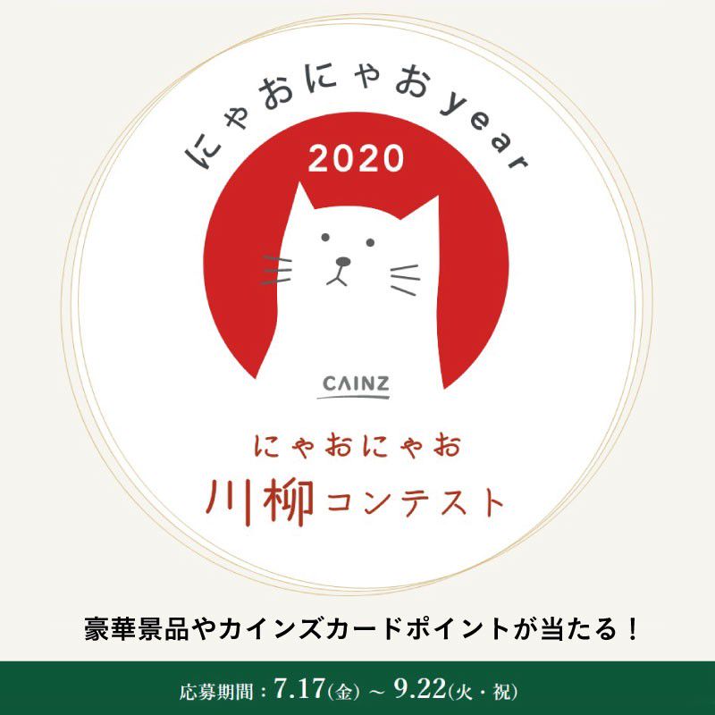 Recent Media カインズ 富士宮店