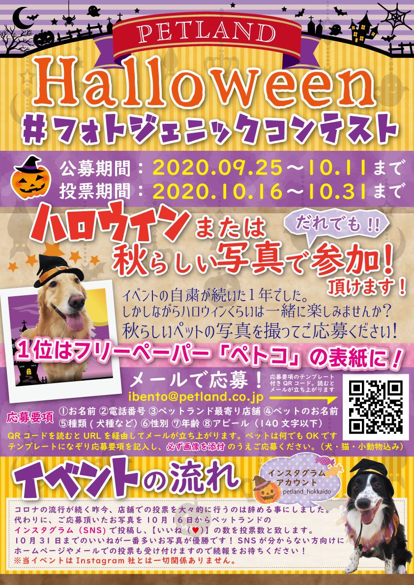 Recent Media ペットランドイオン永山店