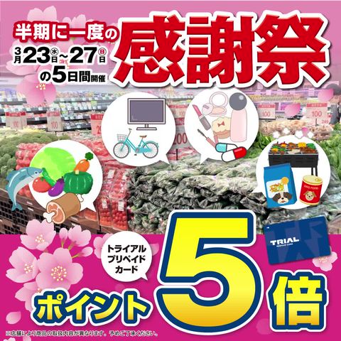 Mixed Media Feed Trial トライアル Line Official Account