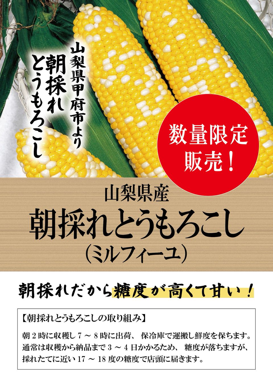 Mixed Media Feed クイーンズ伊勢丹仙川店