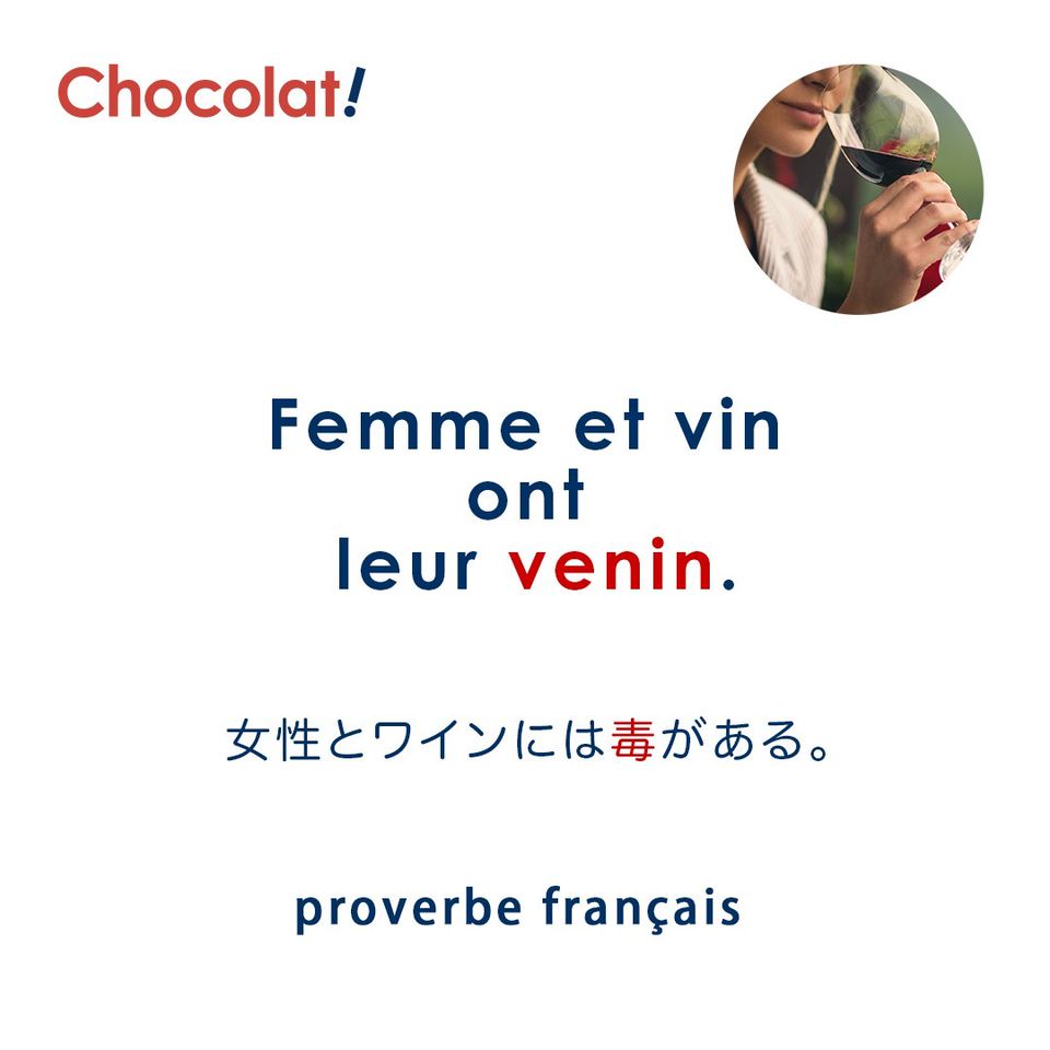 Mixed Media Feed フランス語 Chocolat