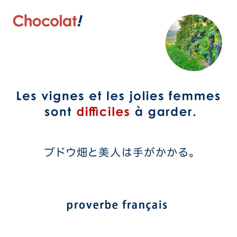 Recent Media フランス語 Chocolat