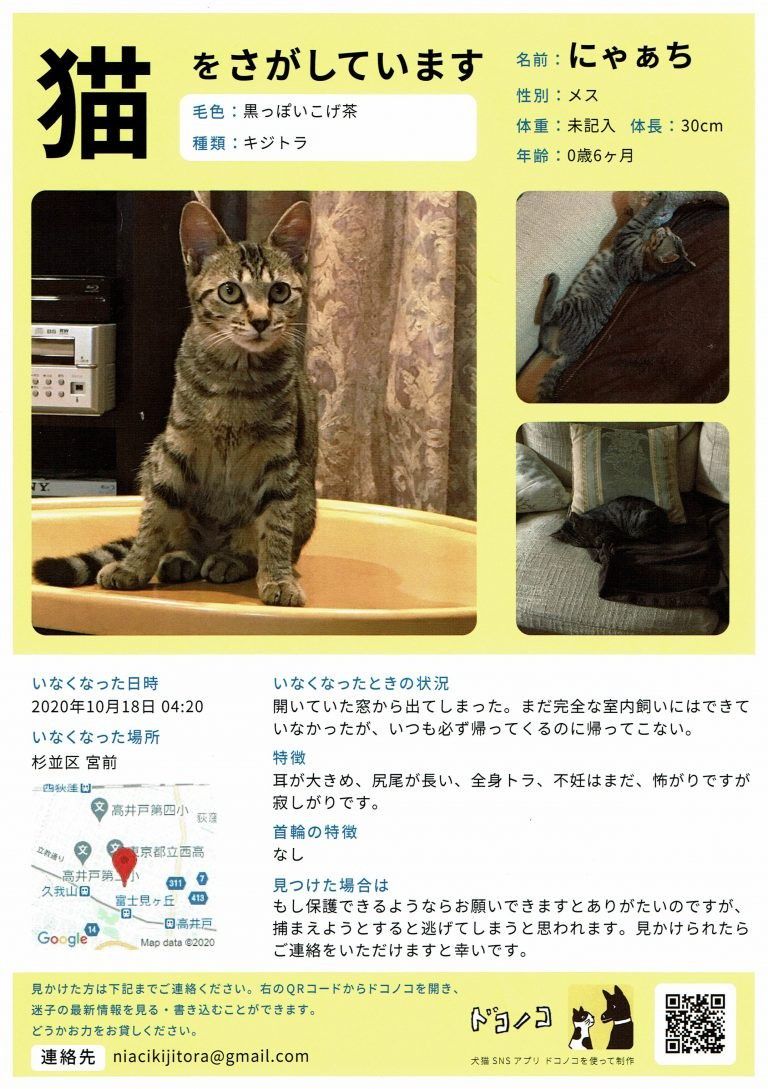 Recent Media モノカどうぶつ病院