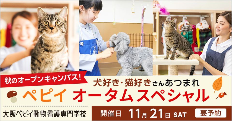 Recent Media 大阪ペピイ動物看護専門学校