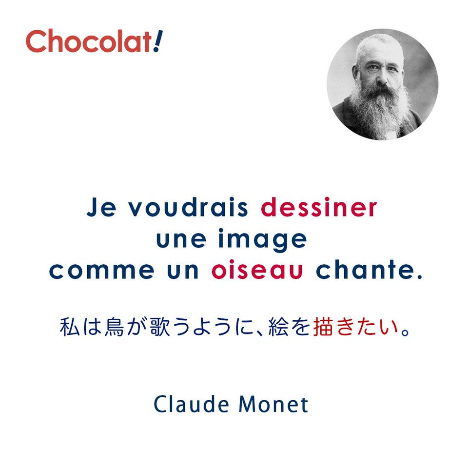 Mixed Media Feed フランス語 Chocolat