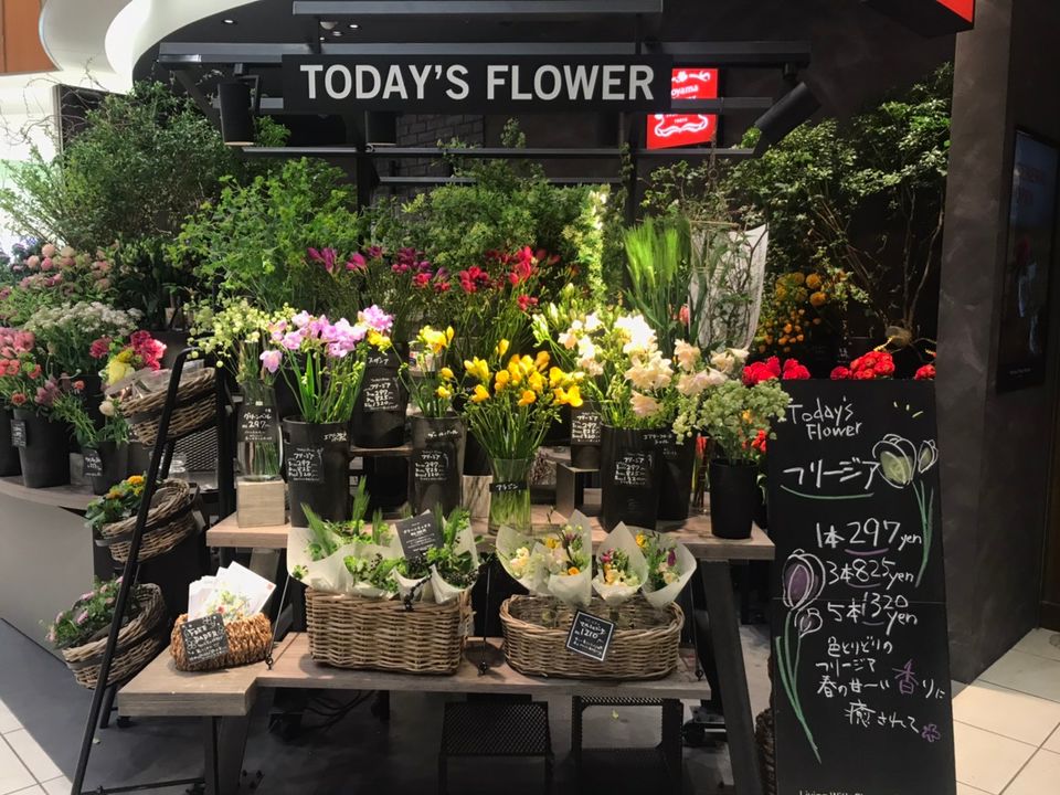 Mixed Media Feed 青山フラワーマーケット 調布パルコ店