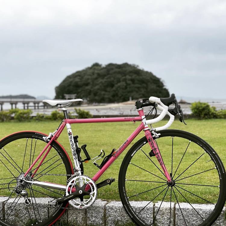 Mixed Media Feed サイクルオフ Line Official Account