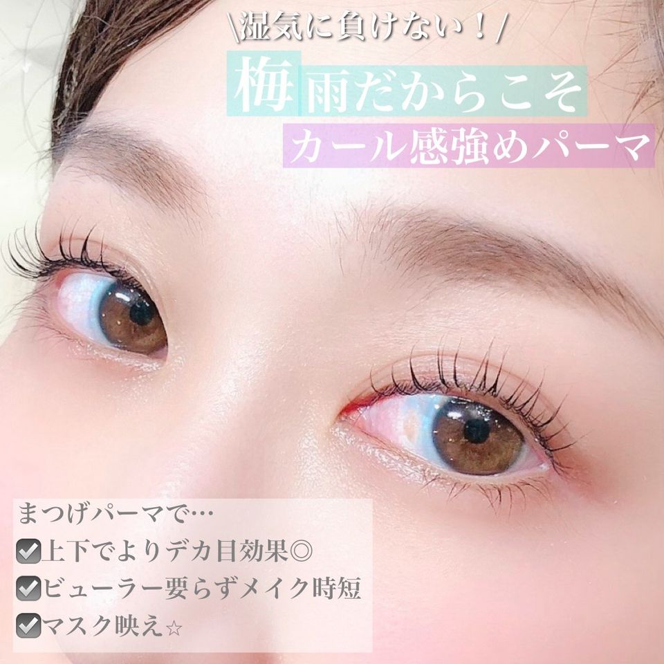 マダムラッシュ Line Official Account