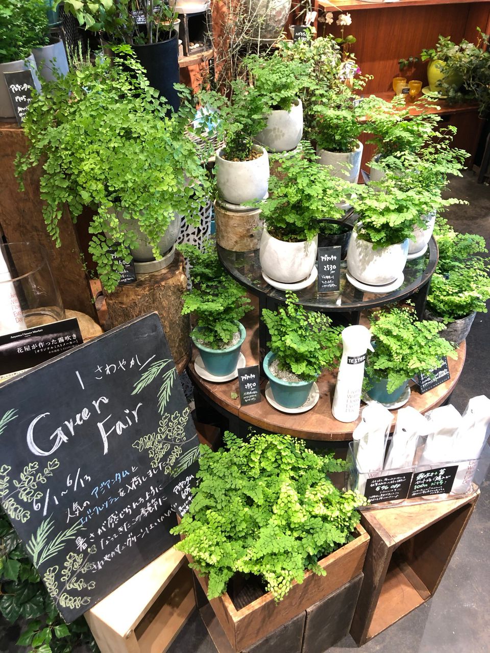 Mixed Media Feed 青山フラワーマーケット 御影クラッセ店