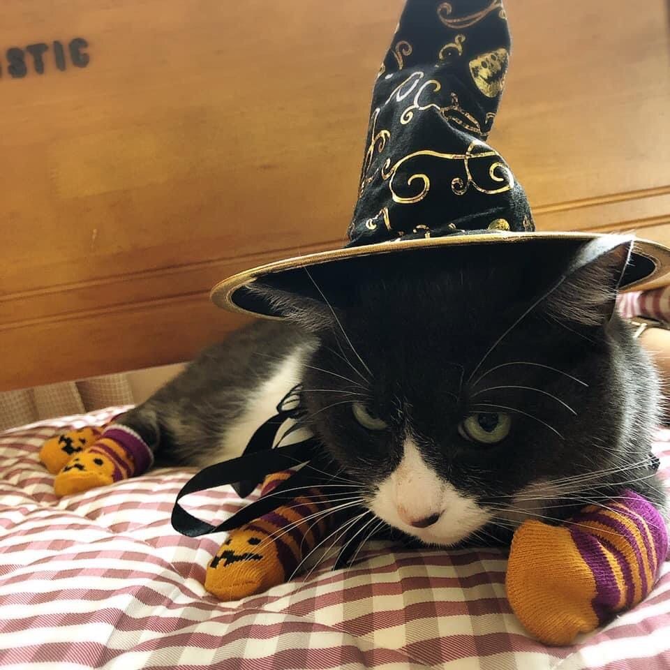 まほうおばば Line Official Account