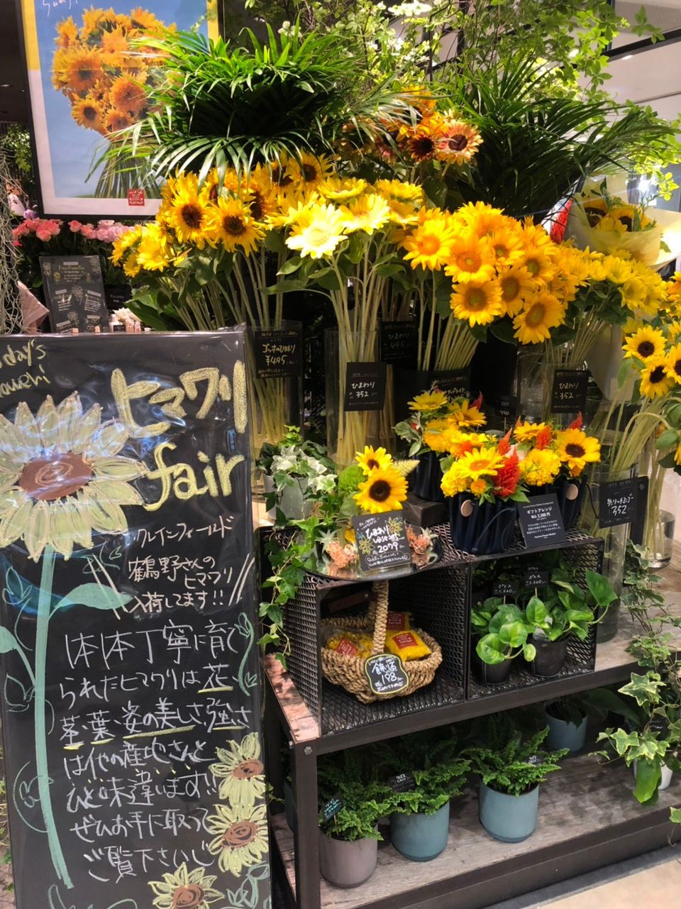 Mixed Media Feed 青山フラワーマーケット アミュエスト博多