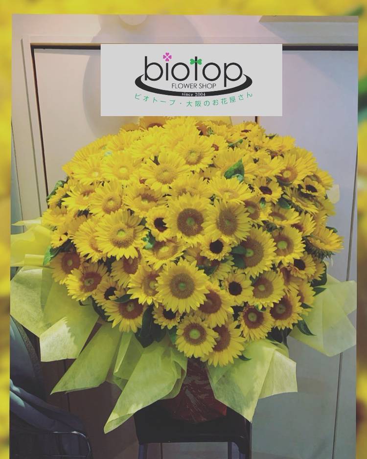 Mixed Media Feed Biotop 尼崎店 Line Official Account