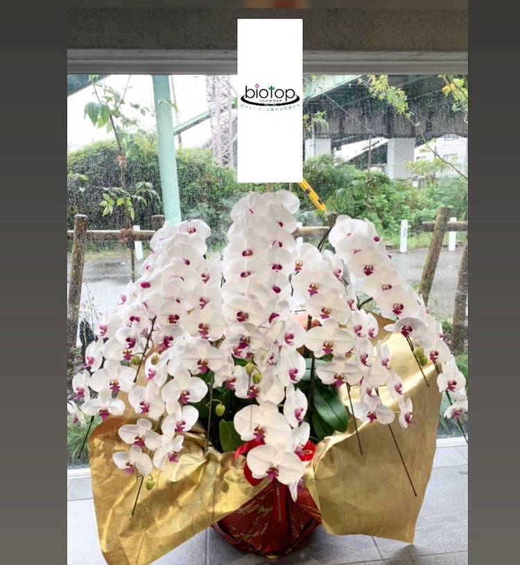 Mixed Media Feed Biotop 尼崎店 Line Official Account