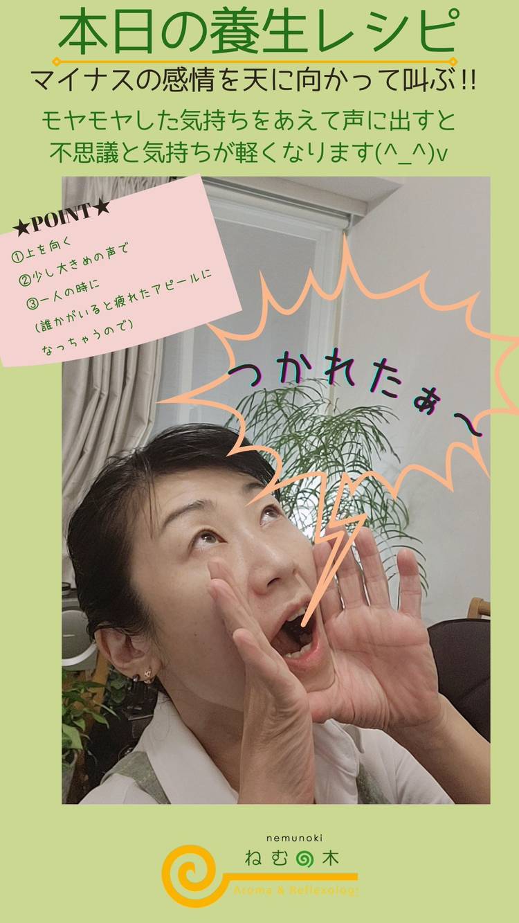 Mixed Media Feed ｱﾛﾏ ﾘﾌﾚｸｿﾛｼﾞｰねむの木 新宿 Line Official Account