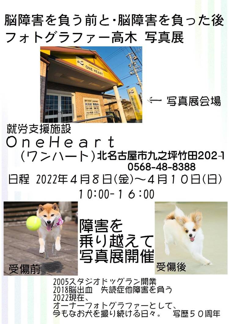 Mixed Media Feed スタジオドッグラン Line Official Account
