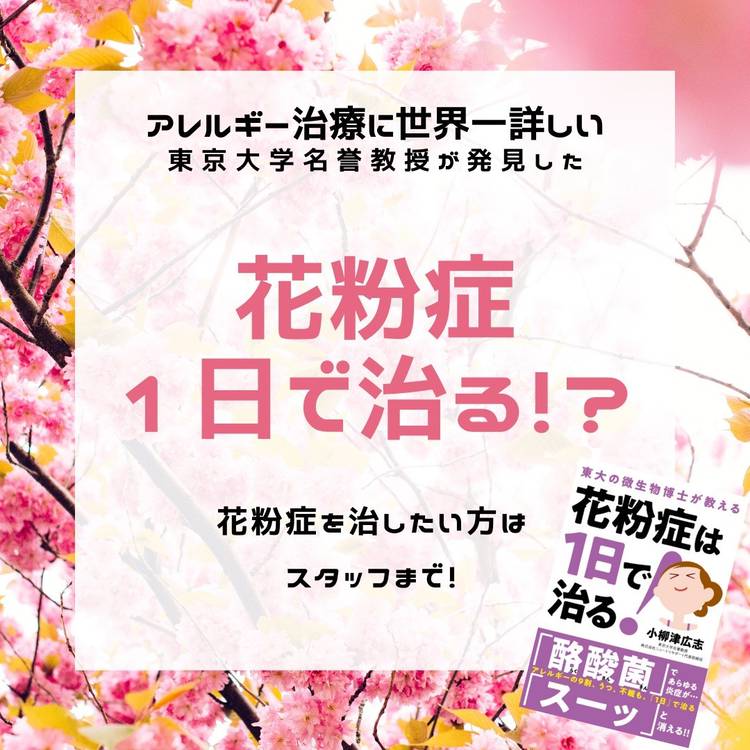 Mixed Media Feed せいりき鍼灸整骨院 Line Official Account