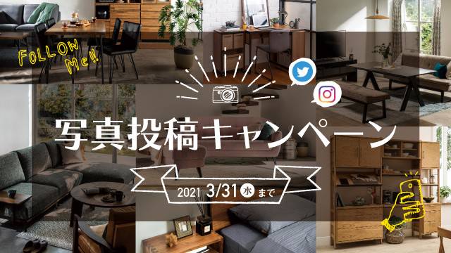 Mixed Media Feed 島忠ホームズ横須賀店