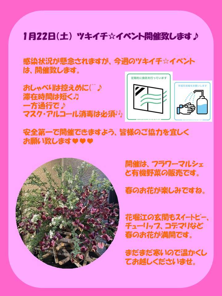 Mixed Media Feed 花堀江 Line Official Account