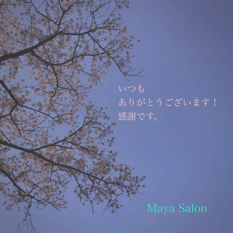 Mixed Media Feed Maya Salon Line Official Account