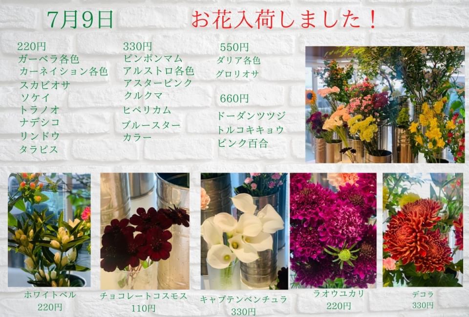 Cota Flower Line Official Account