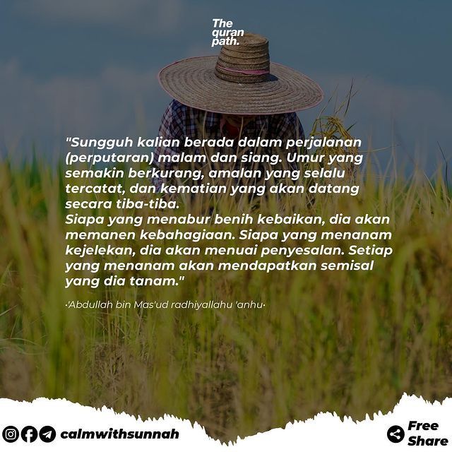 Mixed Media Feed Berdakwah