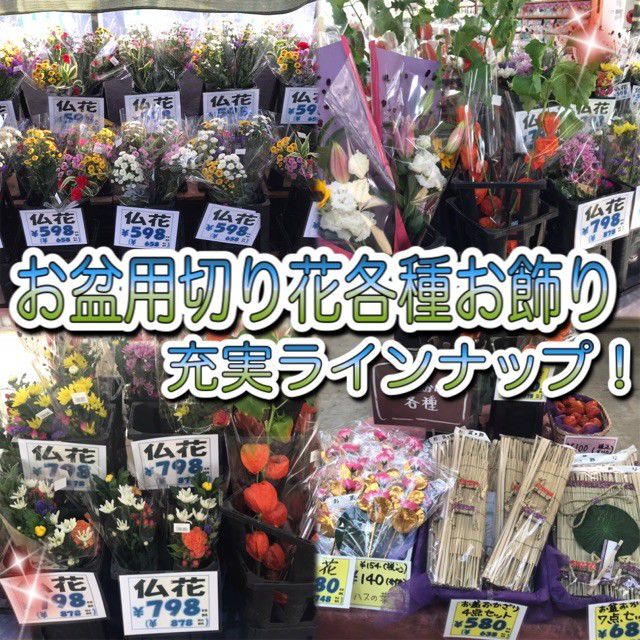 テーブルガーデンセンター Line Official Account