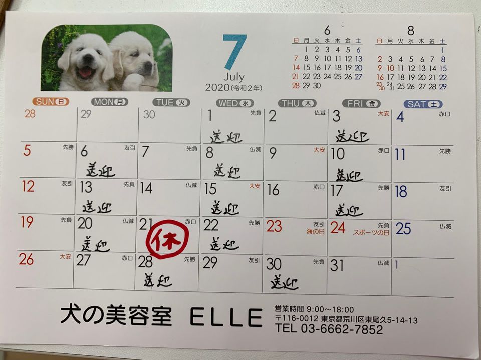 Mixed Media Feed 犬の美容室elle