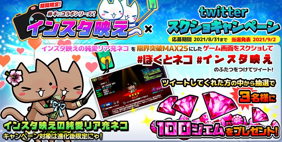 Mixed Media Feed ぼくとネコ 公式