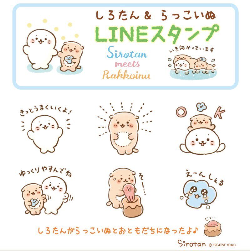 吉祥寺ペットパラダイス Line Official Account