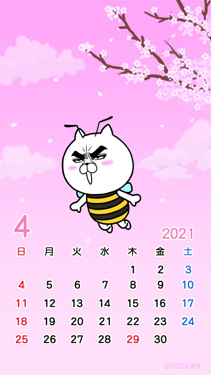 Mixed Media Feed ロシヒ Line Official Account