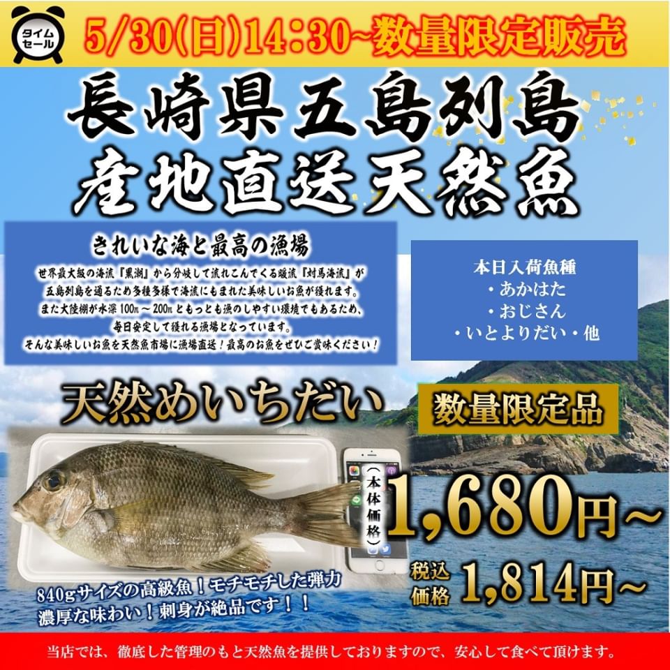 Recent Media くら天然魚市場