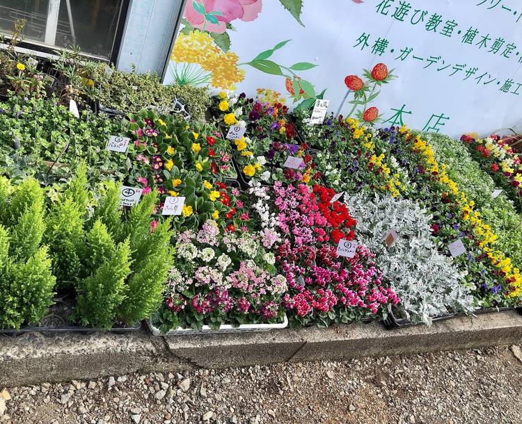 Mixed Media Feed フラワーショップ花かご Line Official Account