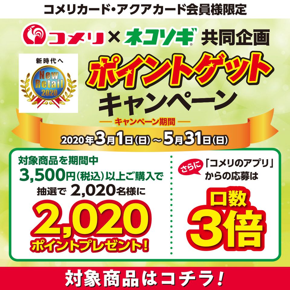 Recent Media コメリ パワー鹿沼店