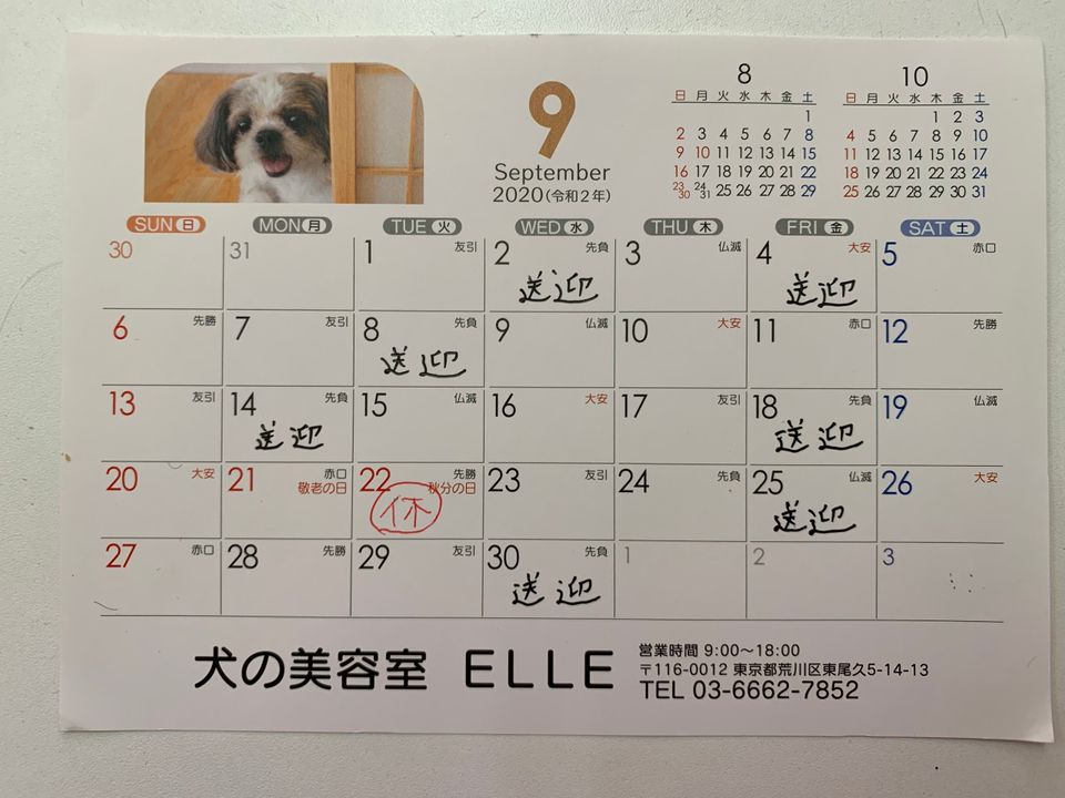 Mixed Media Feed 犬の美容室elle