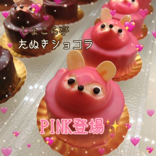 Mixed Media Feed しょこら亭